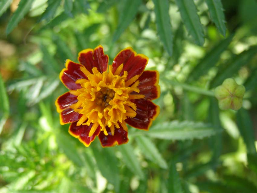 P9130396