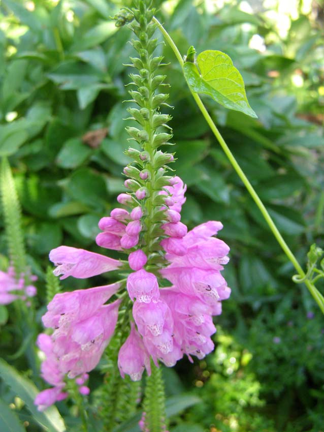 P9130397