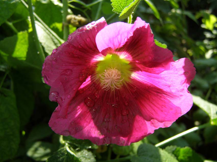 P9130399