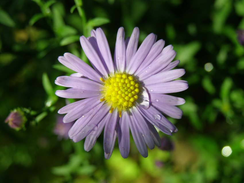 P9130400