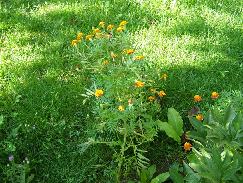 P9130406