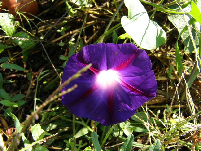P9130415
