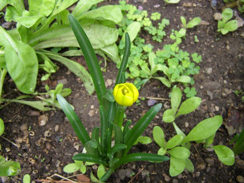 P9130423