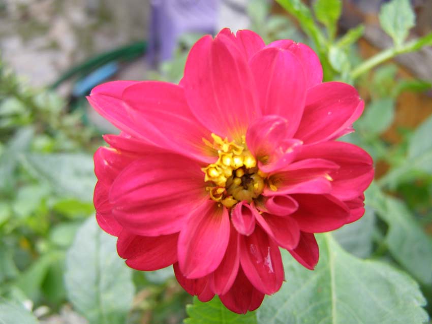 P9130427