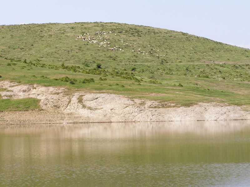 P4220203_s