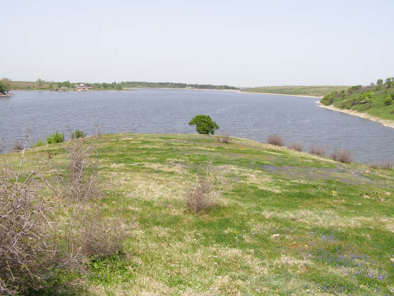 P4200068