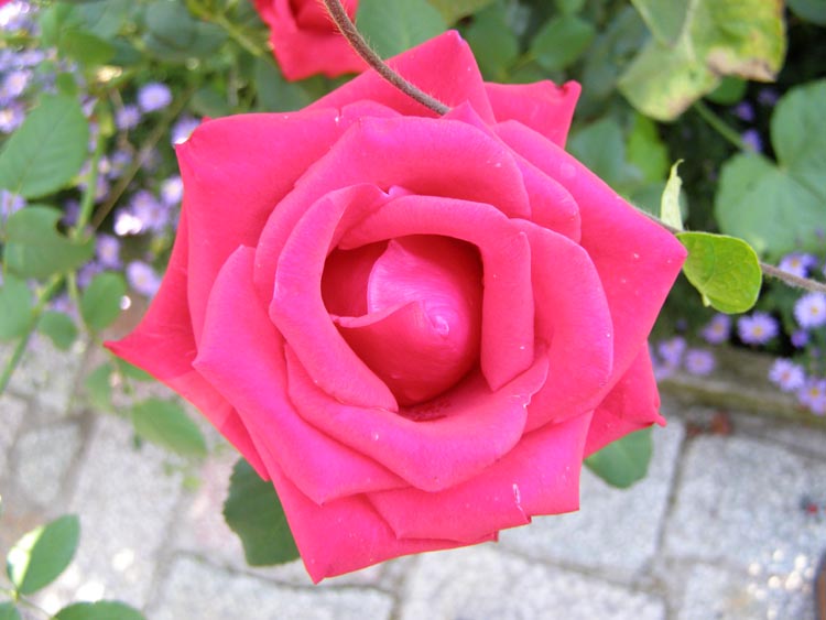 P9230003