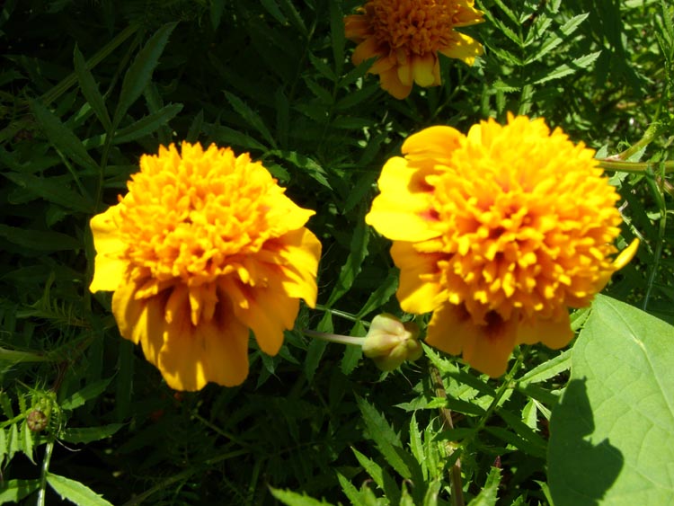 P9230008