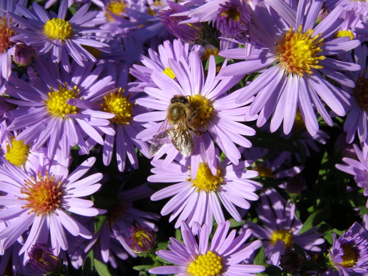 P9230009