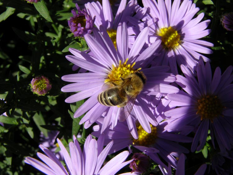 P9230010