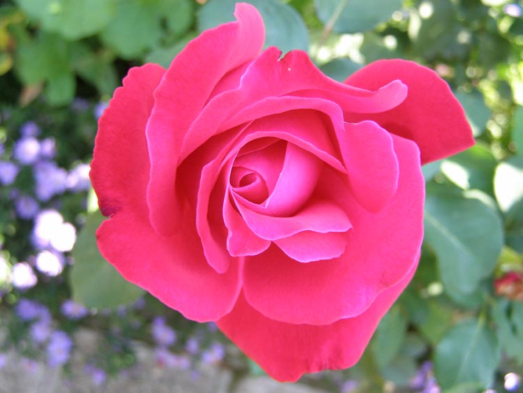 P9230011