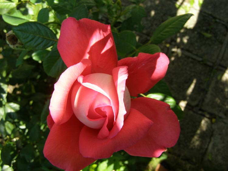 P9230014