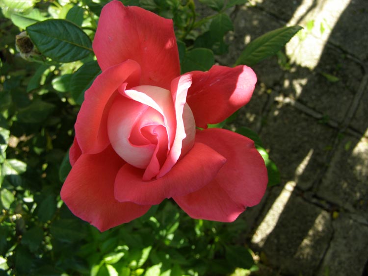 P9230015