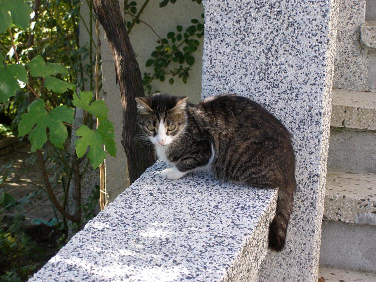 P9230016