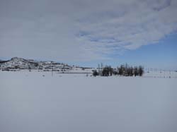 IMG_0017