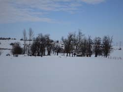 IMG_0018