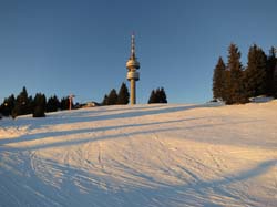 IMG_0079