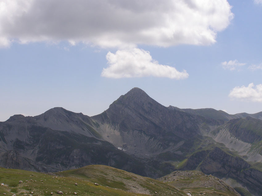 P7170479