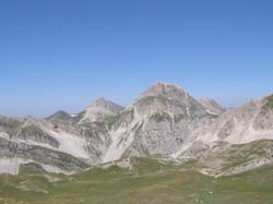 P7170421