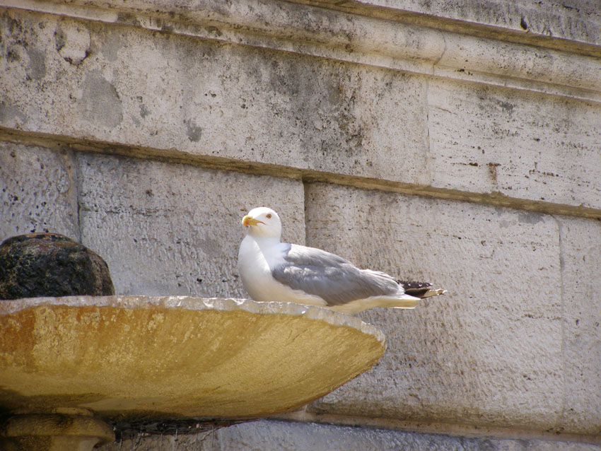P7130158
