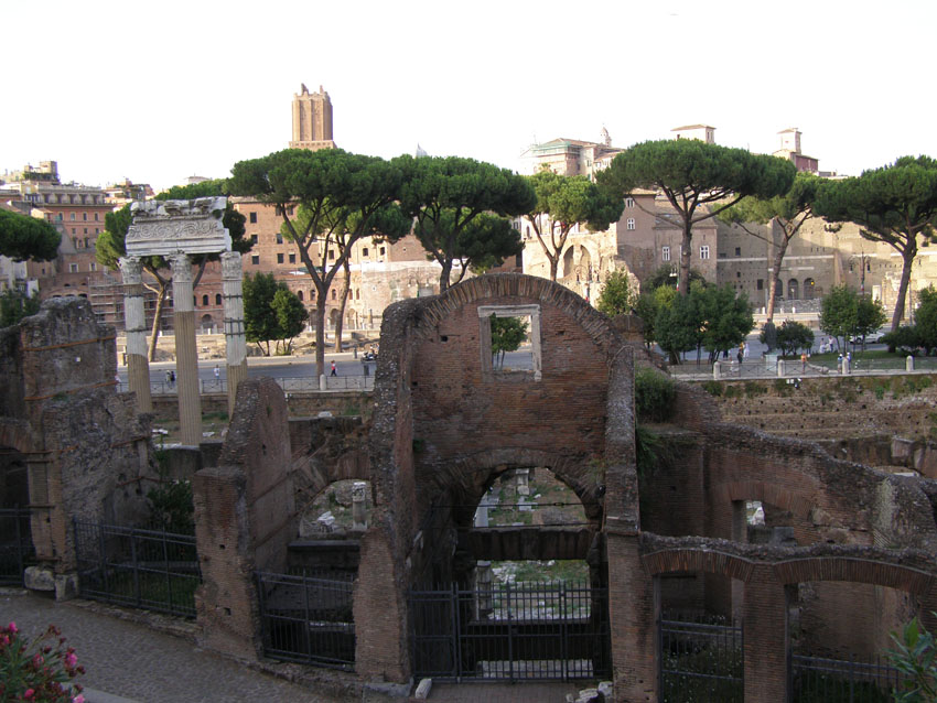 P7130239