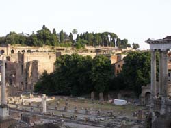 P7130234