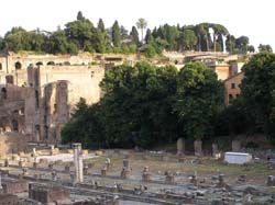P7130238