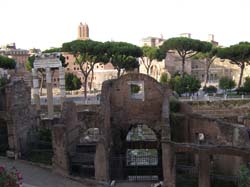 P7130239