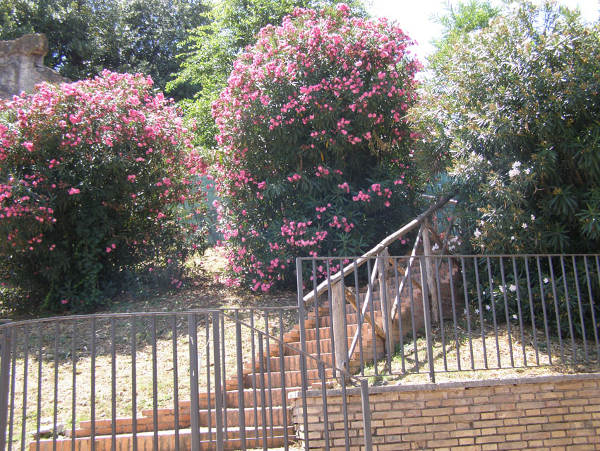 P7150381