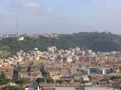 P7150336