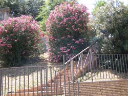P7150381