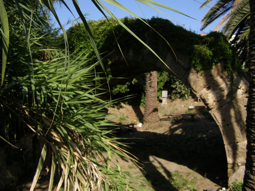 P7120116