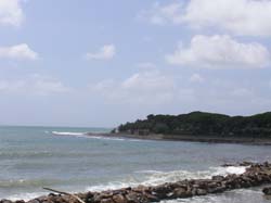 P7140263