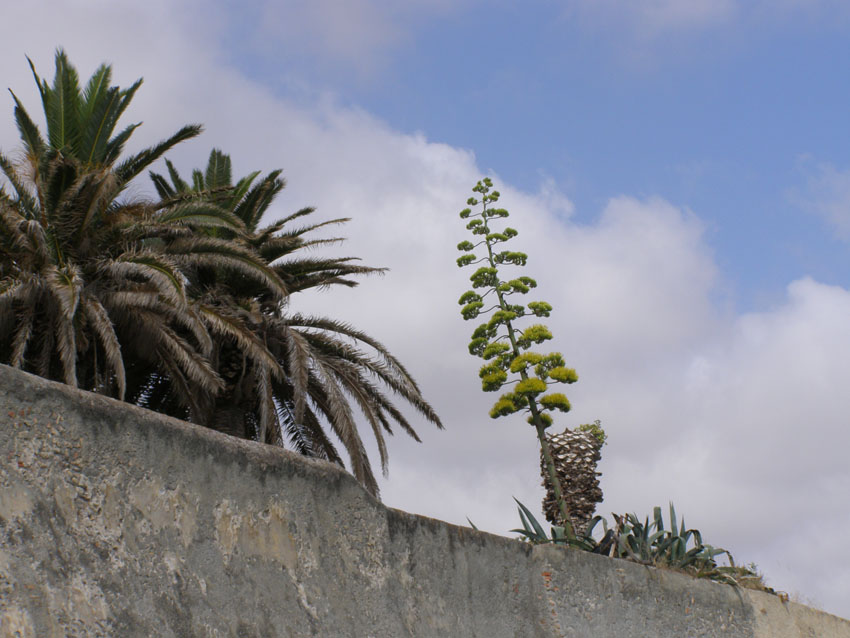 P7140278