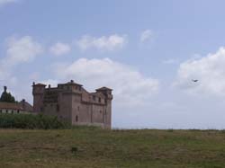 P7140264