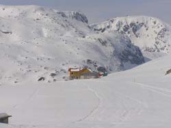 P3200539