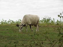 IMG_3113