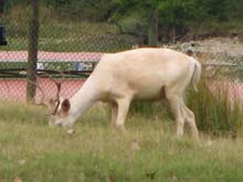 IMG_3138