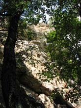 IMG_3190