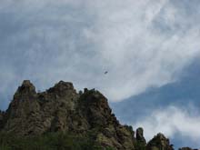 IMG_3284