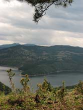 IMG_3433