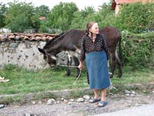 IMG_3447