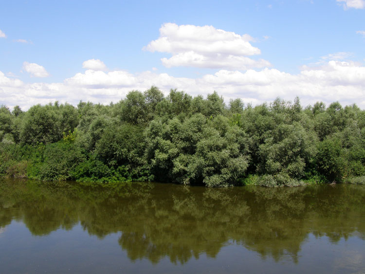 P7240658