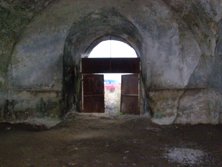 P7240691