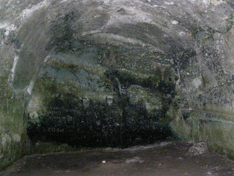 P7240692