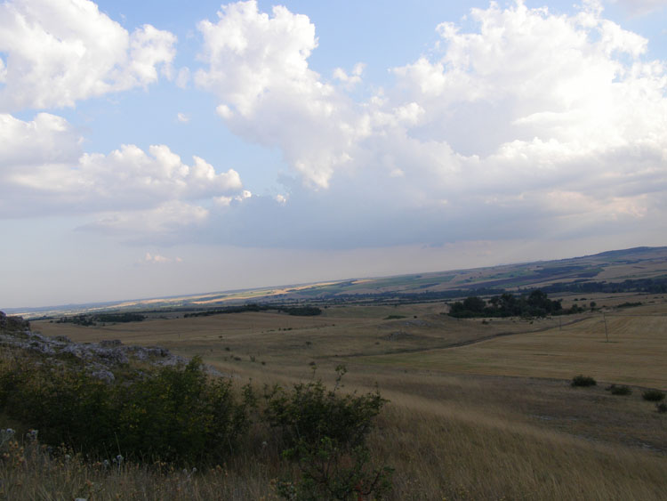 P7240695