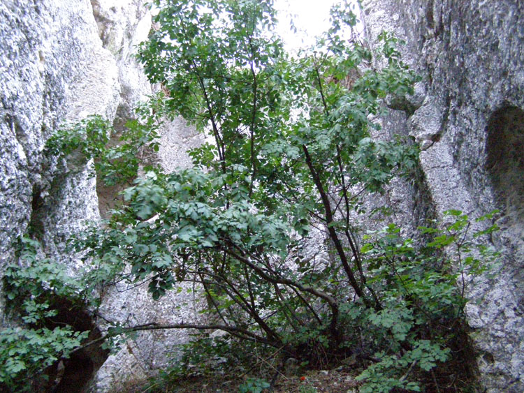 P7240703