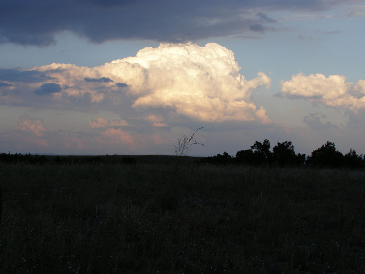 P7240713
