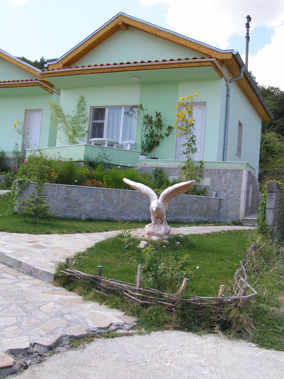 P7250007