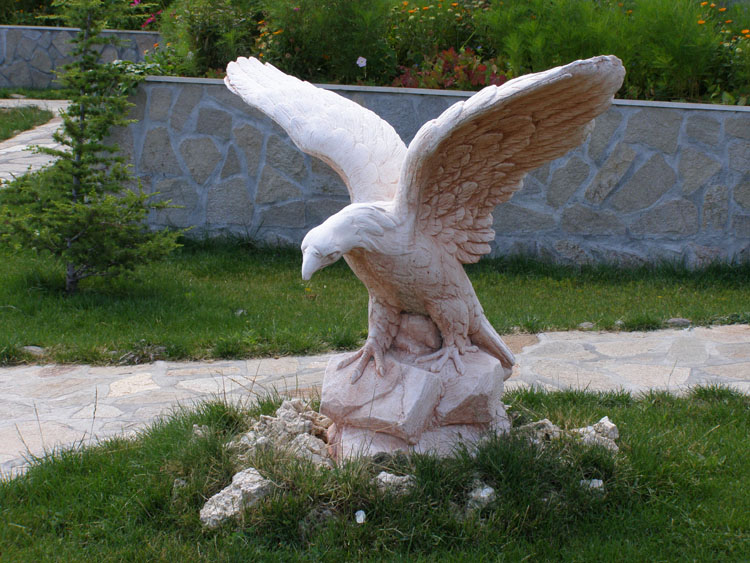 P7250008